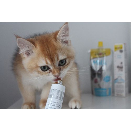 Вітамінізована паста GimCat Expert Line Kitten для кошенят 50 г