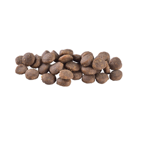 Сухий корм Brit Care Dog Grain-free Puppy для цуценят беззерновий з лососем