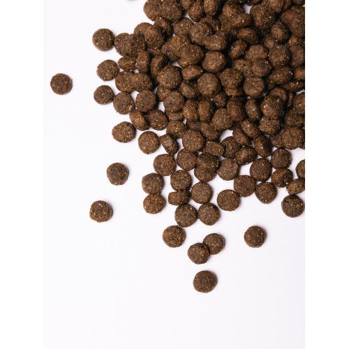Сухий корм Savory Medium для собак середніх порід зі свіжим ягням та індичкою