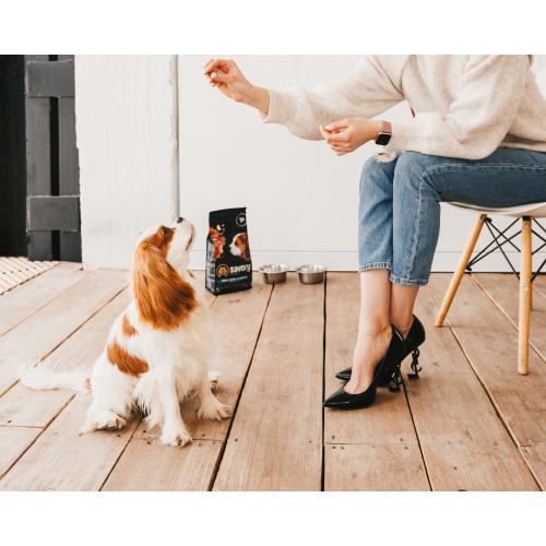 Сухий корм Savory Puppy для цуценят усіх порід зі свіжою індичкою і куркою