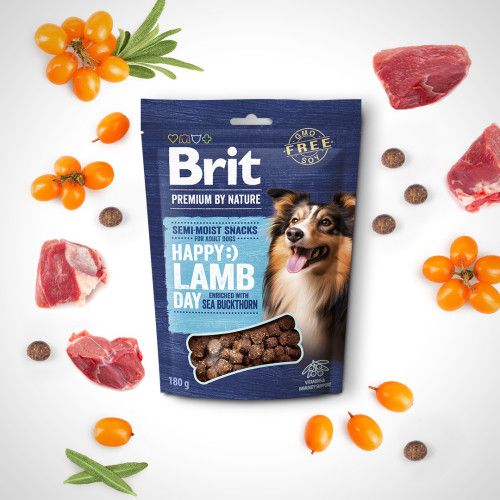 Лакомство для собак Brit Premium Semi-moist Snacks полувлажные с ягненком и облепихой 180 г