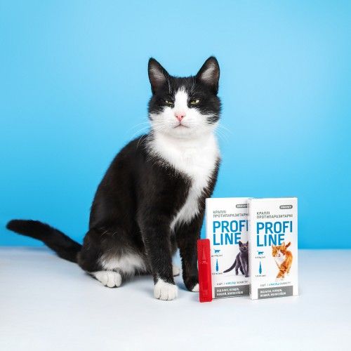 Краплі Provet Profiline для котів до 4 кг 4 піпетки по 0,5 мл (інсектоакарицид)