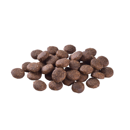 Сухий корм Brit Care Grain-free Junior для молодих собак великих порід беззерновий з лососем