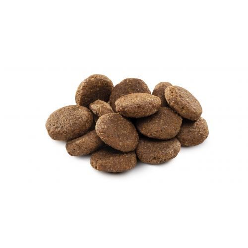 Сухий корм Brit Premium Dog Senior L+XL для старіючих собак великих порід з куркою 15 кг