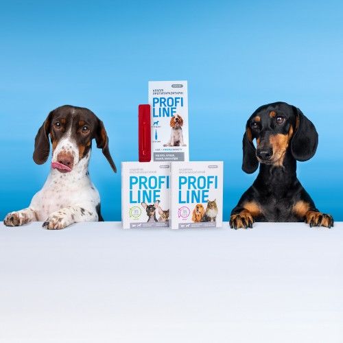Нашийник Provet Profiline для котів та собак 35 см кораловий (інсектоакарицид)