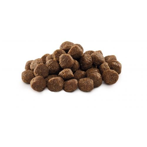 Сухий корм Brit Premium Dog Junior M для цуценят та юніорів середніх порід з куркою 1 кг