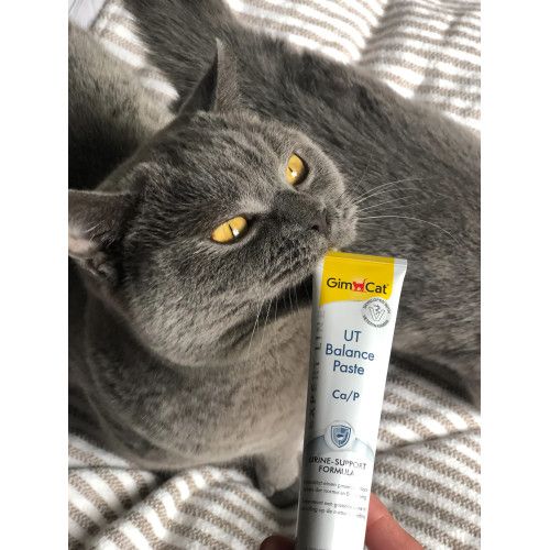 Вітамінна паста GimCat Expert Line UT Balance для котів 50 г