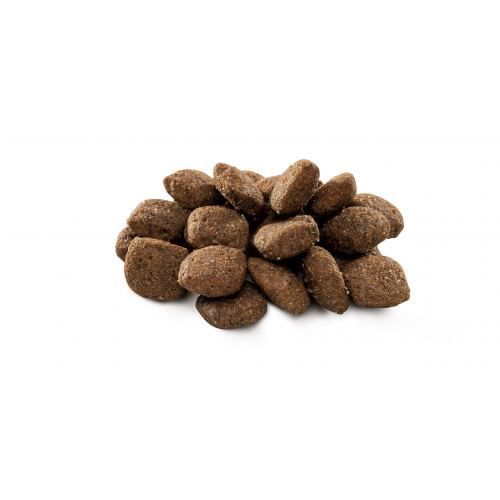 Сухий корм Brit Premium Dog Sensitive Lamb для собак з чутливим травленням з ягням 1 кг