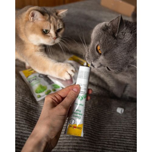 Вітаміни GimCat Expert Line Gastro Intestinal для котів покращення травлення 50 г