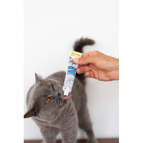 Паста для котів GimCat DUO PASTE Multi-vitamin 12 vitamins with tuna 12 вітамінів та тунець 50 г