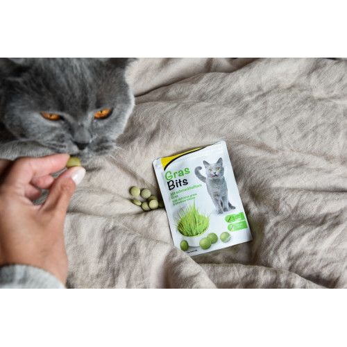 Вітамінізовані таблетки для котів GimCat Gras Bits трав'яні кульки пауч 425 г