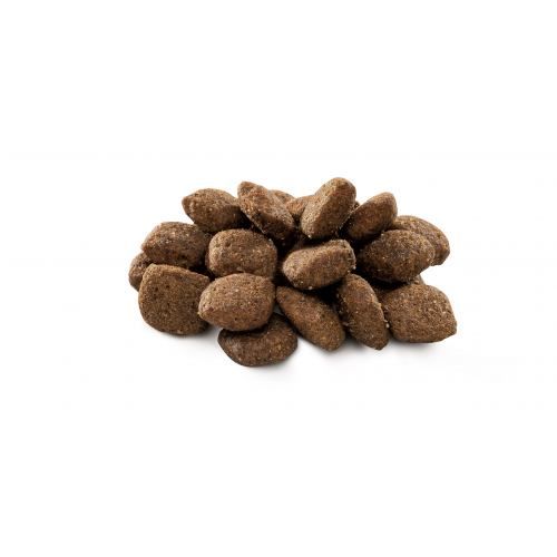 Сухий корм Brit Premium Dog Sensitive Lamb для собак з чутливим травленням з ягням 1 кг