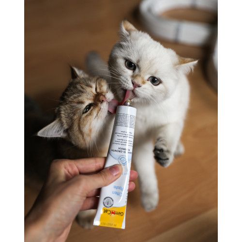 Вітамінізована паста GimCat Expert Line Kitten для кошенят 50 г