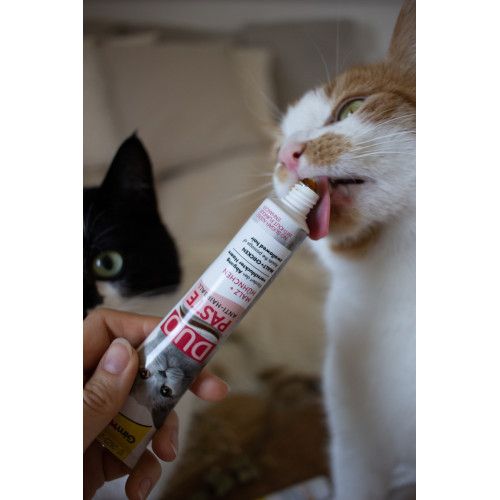 Паста для котів з чутливим травленням GimCat DUO PASTE Anti-hairball malt with chicken мальт та курка 50 г