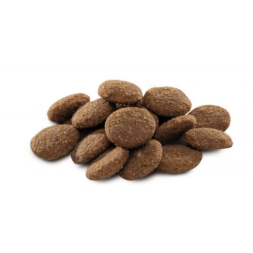 Сухий корм Brit Premium Dog Adult XL для дорослих собак гігантських порід з куркою 3 кг