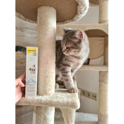 Вітамінізована паста GimCat Expert Line Kitten для кошенят 50 г
