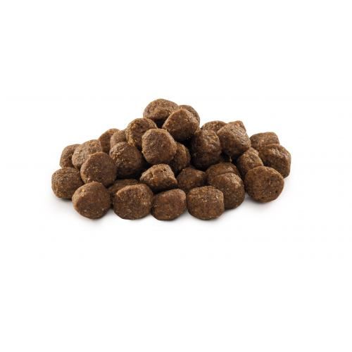Сухий корм Brit Premium Dog Junior M для цуценят та юніорів середніх порід з куркою 1 кг