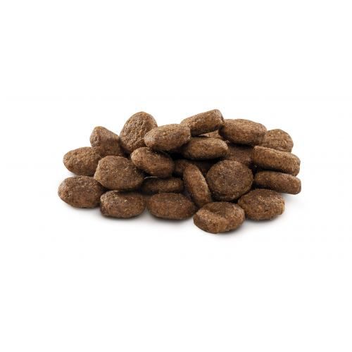 Сухий корм Brit Premium Dog Junior L для цуценят та юніорів великих порід з куркою 3 кг