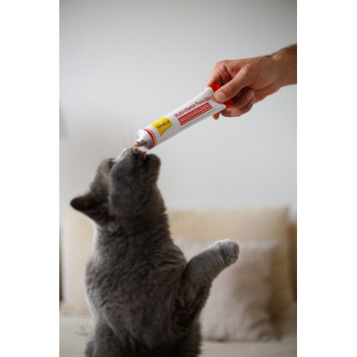 Мультивітамінна паста GimCat Every Day Extra для котів 50 г