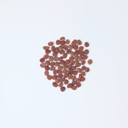 Сухий корм для котів Carnilove True Fresh з куркою 1,8 кг