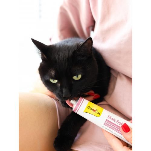Паста GimCat Every Day Malt-Soft Paste Extra для котів виведення шерсті зі шлунку 20 г