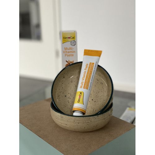 Мультивітамінна паста GimCat Every Day для котів 200 г
