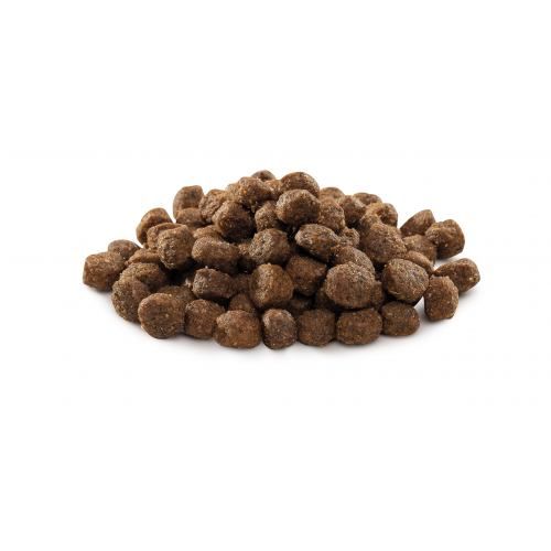 Сухий корм Brit Premium Dog Adult S для дорослих собак малих порід з куркою 1 кг