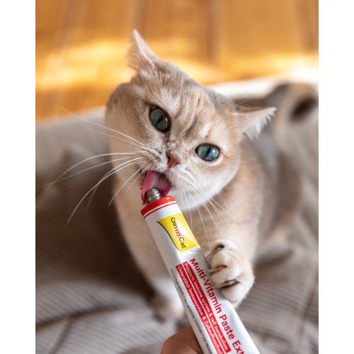 Мультивітамінна паста GimCat Every Day Extra для котів 100 г