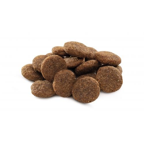 Сухий корм Brit Premium Dog Adult L для дорослих собак великих порід з куркою 3 кг