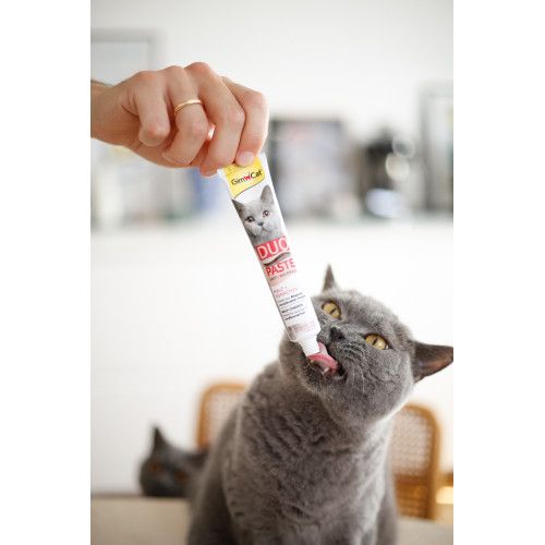 Паста для котів з чутливим травленням GimCat DUO PASTE Anti-hairball malt with chicken мальт та курка 50 г