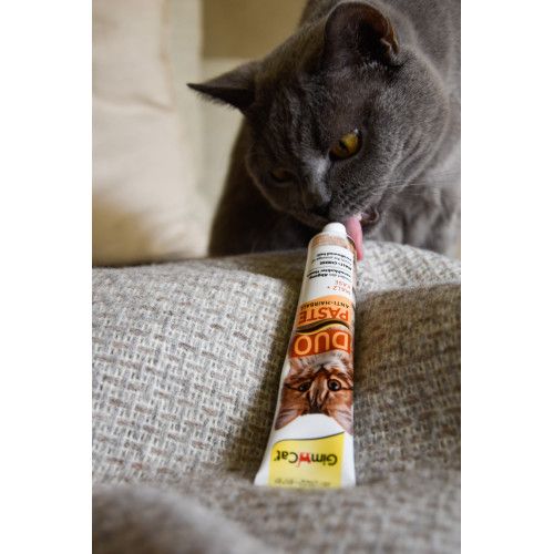 Паста для кошек с чувствительным пищеварением GimCat DUO PASTE Anti-hairboll malt with cheese мальт и сыр 50 г