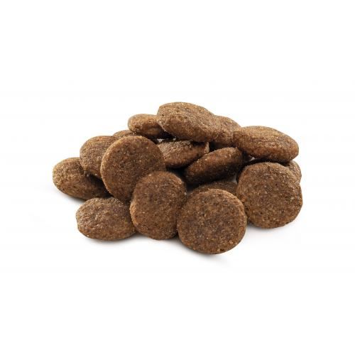 Сухий корм Brit Premium Dog Adult L для дорослих собак великих порід з куркою 3 кг