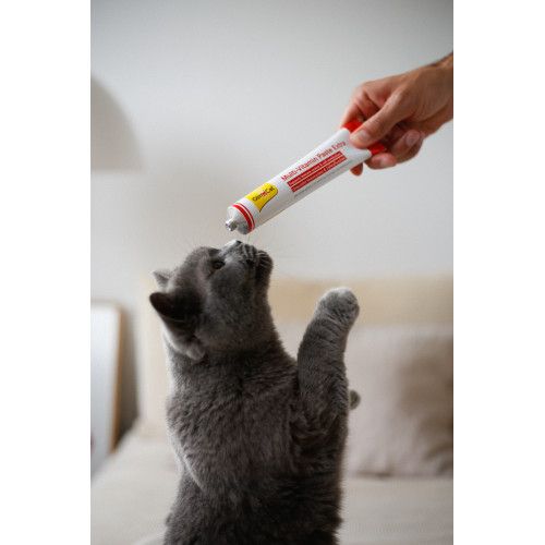 Мультивітамінна паста GimCat Every Day Extra для котів 200 г