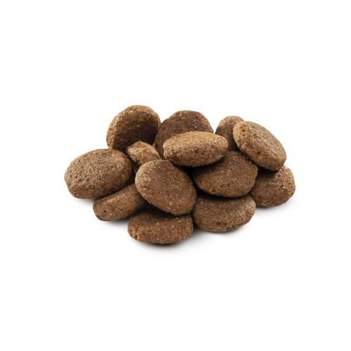 Сухий корм Brit Premium Dog Senior L+XL для старіючих собак великих порід з куркою 3 кг