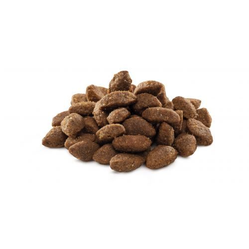 Сухий корм Brit Premium Dog Sport для собак з високими енерговитратами з куркою 3 кг