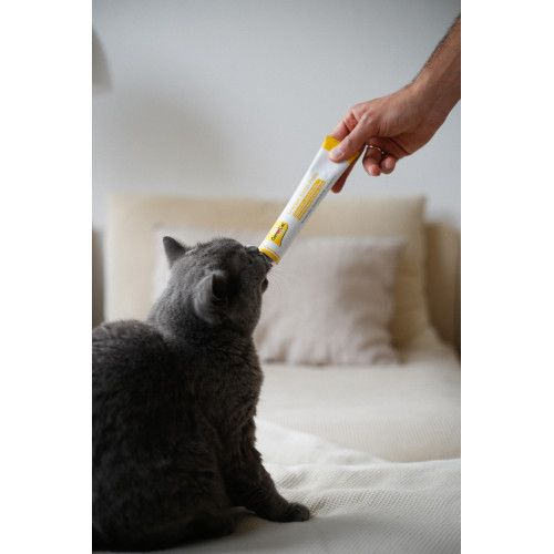 Паста для котів GimCat Cheese Biotin Paste cирна з біотином 100 г