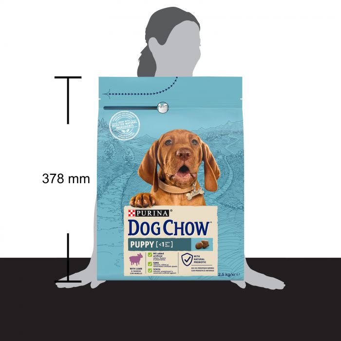 Сухий корм для цуценят DOG CHOW Puppy з ягням 2,5 кг
