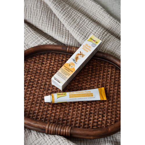 Мультивітамінна паста GimCat Every Day для котів 200 г