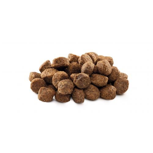 Сухий корм Brit Premium Dog Senior S+M для старіючих собак малих і середніх порід з куркою 3 кг
