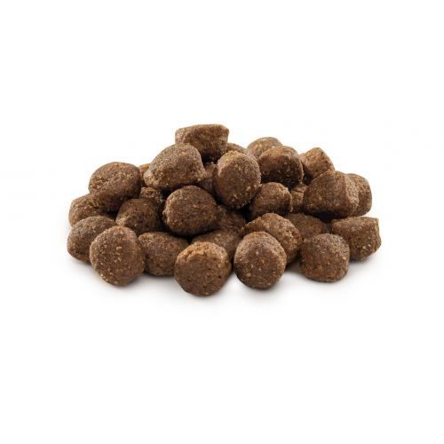 Сухий корм Brit Premium Dog Adult M для дорослих собак середніх порід з куркою 1 кг
