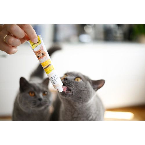 Паста для котів GimCat DUO PASTE Multi-vitamin 12 vitamins with cheese 12 вітамінів та сир 50 г