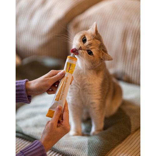 Мультивітамінна паста GimCat Every Day для котів 200 г