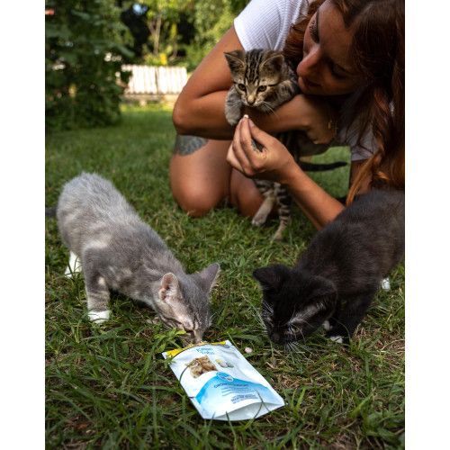Вітамінізовані ласощі GimCat Every Day Kitten для кошенят 40 г