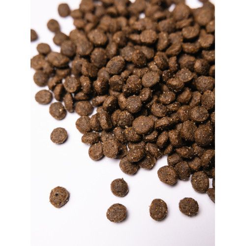 Сухой корм Savory для собак гурманов малых пород со свежим ягненком
