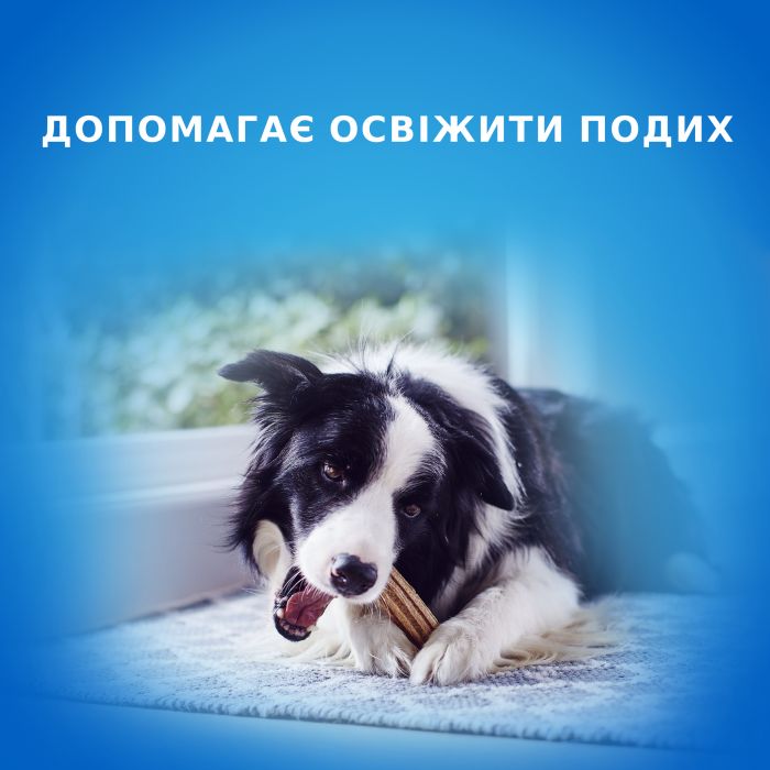 Лакомство для взрослых собак средних пород DENTALIFE Medium для здоровья зубов и десен 115 г