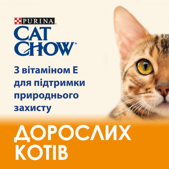 Сухий корм для кошенят CAT CHOW Kitten з куркою