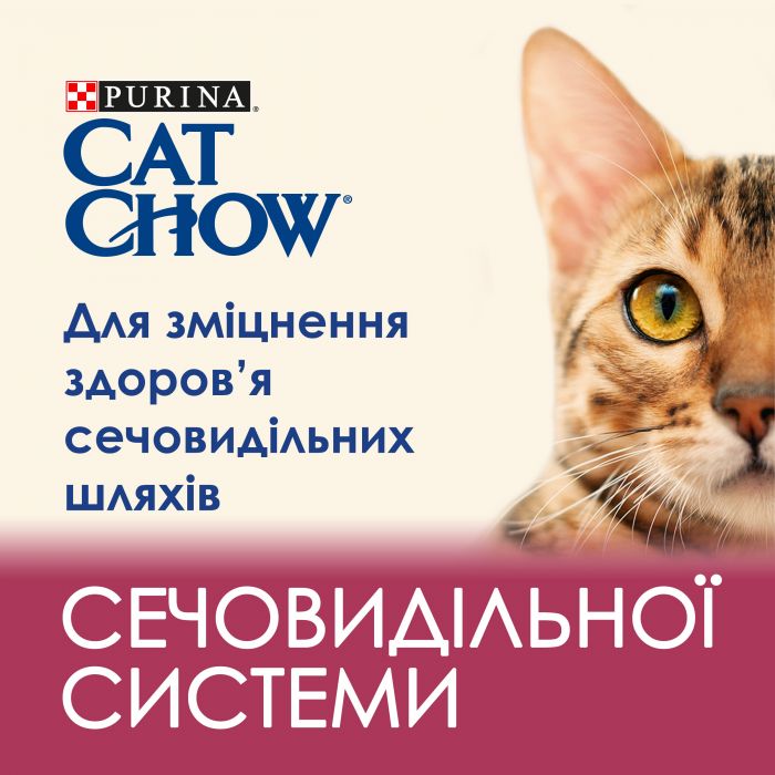 Сухий корм для кошенят CAT CHOW Kitten з куркою