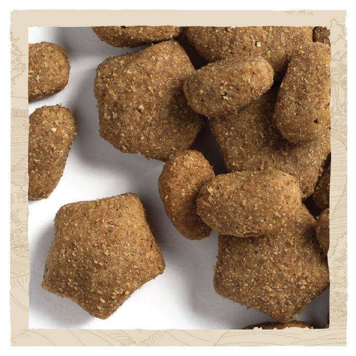 Сухий корм для дорослих собак DOG CHOW Active Adult з підвищеною активністю з куркою