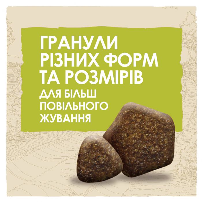 Сухий корм для дорослих собак DOG CHOW Adult з ягням 14 кг