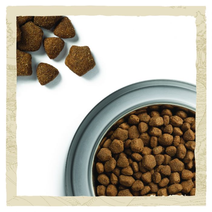 Сухий корм для дорослих собак DOG CHOW Adult з ягням 14 кг